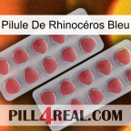 Pilule De Rhinocéros Bleu 19
